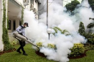 Anomalije temperature površine mora pomažu u predviđanju globalnih trendova denga groznice