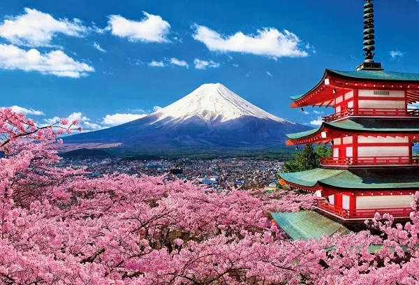 Prekomjerni turizam problem u Japanu- ograničili broj turista na planini Fudži - Primorski Portal