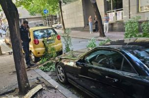 BLOKIRAN SAOBRAĆAJ U CARA UROŠA: Drvo palo na parkirane automobile i preprečilo put (FOTO)