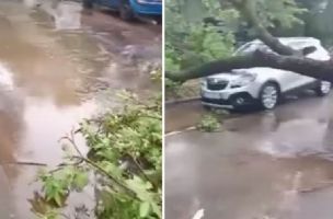 JAKO NEVREME NAPRAVILO HAOS PO SRBIJI! Oluja čupala drveća, automobili uništeni, saobraćaj obustavljen, grad veličine lešnika...  (FOTO/VIDEO)